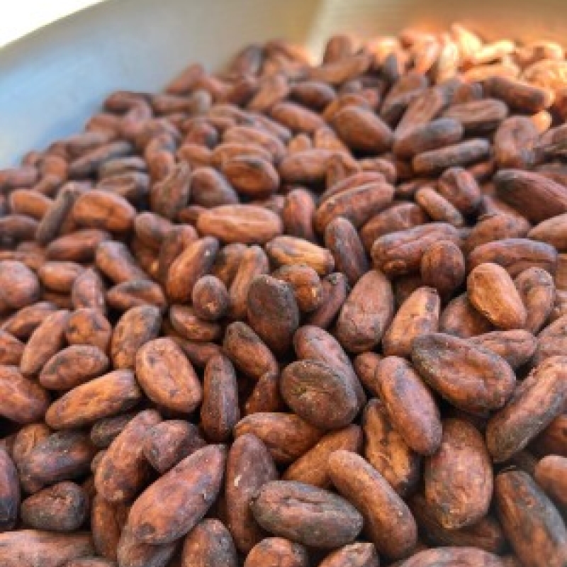 Cacau Comum (Convencional) - Tipo 1 - 1.000 Kg