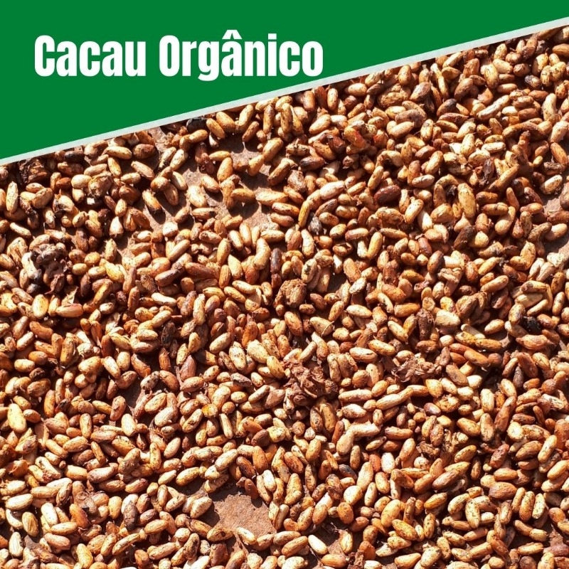 Cacau Orgânico - 830 Kg